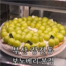 금정-화창한 날의 | 부산대 디저트 맛집 ‘보노베리’ 밤 조각케이크 페퍼민트 추천 후기
