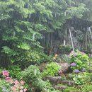 정원가든민박 이미지