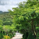 화양원탑캠핑장 이미지