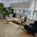 엘투치과의원 이미지