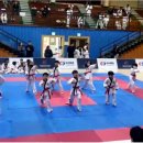 차오름 합기도 이미지