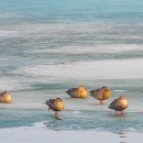 강가에서 이미지