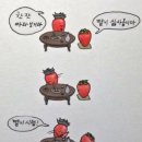 귀여운생활