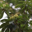 종명랜드 이미지