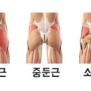 몸애반하다 이미지