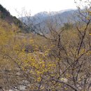 상위마을(산동) 이미지
