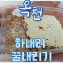 환산로 | 여행 · 옥천살아보기 —옥천달빛마을 전통벌꿀내리기 체험 후기, 옥천2박3일 살아보기, 옥천 일주일살기
