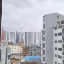 평창리비에르 앞 화장실 | [울산 방충망 교체] 명촌동 평창리비에르 스텐방충망 시공으로 완벽한 방충효과