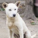 보화1로1 이미지