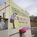 노송전자 이미지