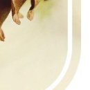 괴정한의원 이미지