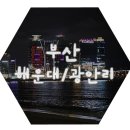 [ 내일로 ] 06 부산여행 / 해운대 / 누리마루 APEC 하우스 / 동백섬 / 광안리 + 광안대교 / 부산 가 볼...