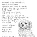 소리스케치 이미지