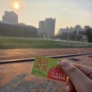 튼튼메디컬약국 | 수의대 출신 약대 편입생이 느낀 약 vs 수 차이점 (메디컬, 어딜 가야할까?)