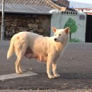 돌무덤농장 이미지