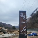 용골송어와캠핑 이미지