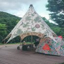 작천정별빛야영장 이미지