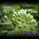 성림농장 이미지