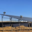 스마트에너지 태양광발전소 이미지