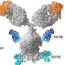 일라이메드 이미지