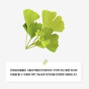 웰 빙라이프