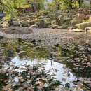 발리동천 이미지