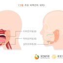 서울구강내과치과의원 이미지