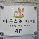 바운스독카페 이미지