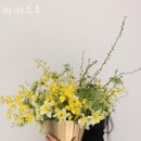 바이 조조 이미지