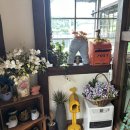 금성카인테리어 이미지