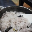 초가집갈비식당