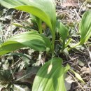 말미골농장 이미지