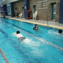 웰리힐리파크 오토캠핑장 이미지