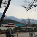 포인트빌 | 북한산 포인트빌 카페 후기｜북한산 뷰 제대로 보이는 베이커리 대형카페