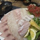 터줏대감 2호점 | 파주 문산 터줏대감 회 맛집(방어, 스끼다시)