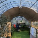 올리브원 이미지