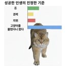 햄스터 라운지 | 세상을 바꿀 수 있어 너를 위한 나의 사랑