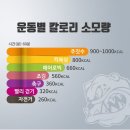 OSJ청라주짓수 이미지