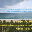 삼성파출직업소개소 이미지