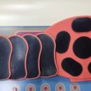 원호메드 이미지