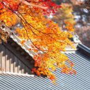 트루행정사사무소 이미지