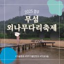 영주 무섬마을 | 가을 나들이 2025 영주 무섬마을 외나무다리 축제 후기