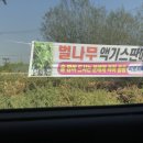 가락장