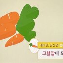 신신장 이미지