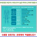 조바 이미지