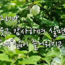 물맑은집