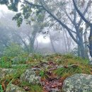 [경상도의 숨은 명산 고령·합천 미숭산] 세계유산 고분 따라 걷는 대가야의 산 이미지