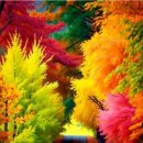 오늘의 역사 (9월 24일) 이미지