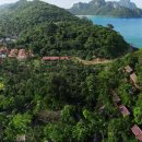 스위트 피피 이미지