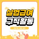 실업급여 구직활동 !! 우리모두 몰라서 손해보지맙시다 이미지